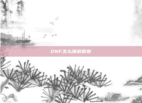 DNF怎么镶嵌徽章