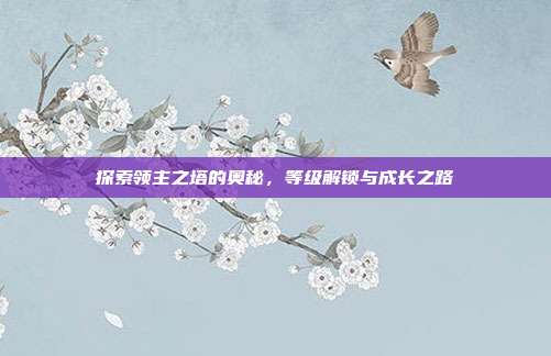探索领主之塔的奥秘,等级解锁与成长之路