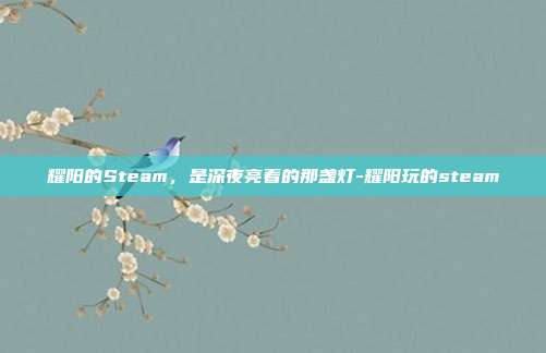 耀阳的Steam,是深夜亮着的那盏灯-耀阳玩的steam