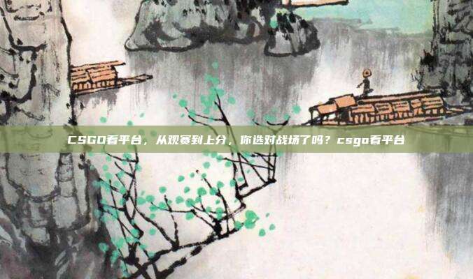 CSGO看平台,从观赛到上分,你选对战场了吗?csgo看平台