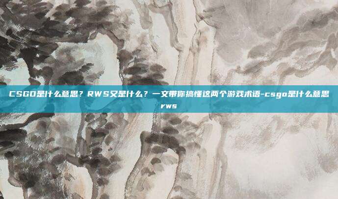 CSGO是什么意思?RWS又是什么?一文带你搞懂这两个游戏术语-csgo是什么意思rws