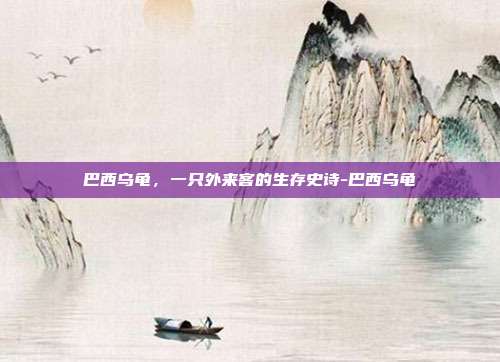 巴西乌龟,一只外来客的生存史诗-巴西乌龟