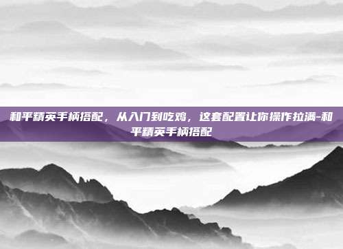 和平精英手柄搭配,从入门到吃鸡,这套配置让你操作拉满-和平精英手柄搭配