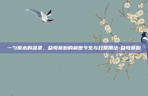 一勺草木的温柔，益母草粉的前世今生与日常用法-益母草粉