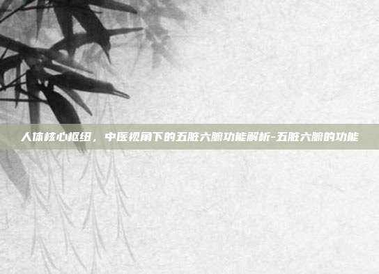 人体核心枢纽，中医视角下的五脏六腑功能解析-五脏六腑的功能