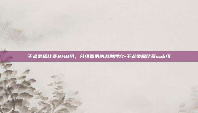 王者荣耀比赛SAB组，分级背后的激烈博弈-王者荣耀比赛sab组