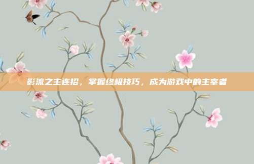 影流之主连招,掌握终极技巧,成为游戏中的主宰者