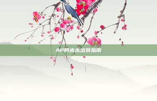 AP阿木木出装指南