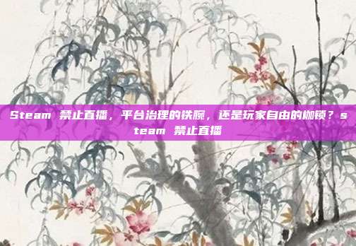 Steam 禁止直播,平台治理的铁腕,还是玩家自由的枷锁?steam 禁止直播
