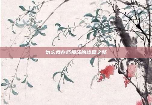 勿忘我存档损坏的修复之路
