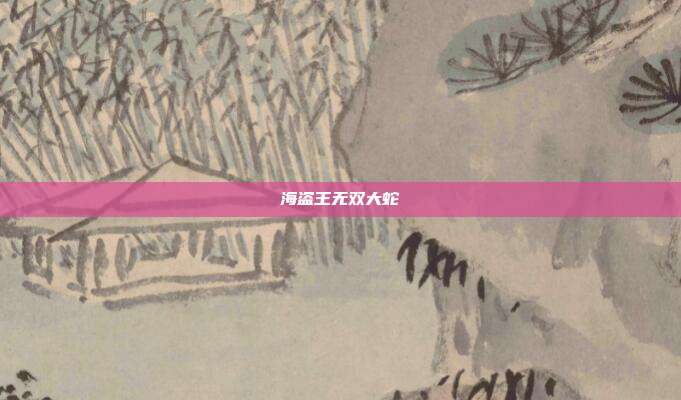 海盗王无双大蛇
