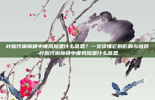 叶酸代谢障碍中度风险是什么意思？一文读懂它的影响与应对-叶酸代谢障碍中度风险是什么意思