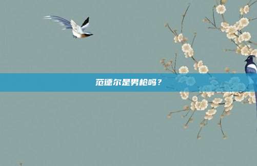 范德尔是男枪吗?