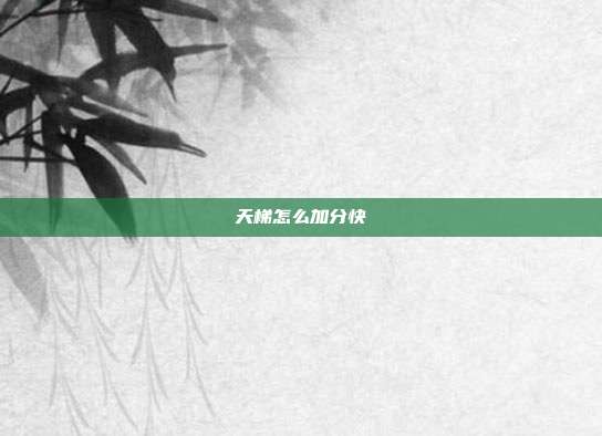 天梯怎么加分快
