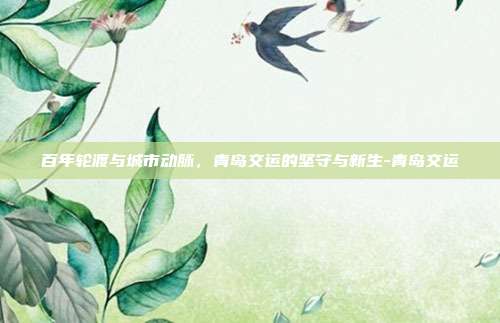 百年轮渡与城市动脉,青岛交运的坚守与新生-青岛交运