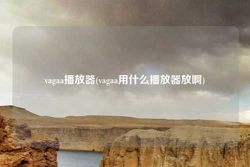 vagaa播放器(vagaa用什么播放器放啊)