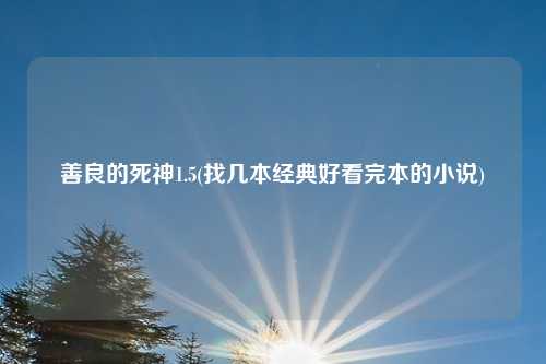 善良的死神1.5(找几本经典好看完本的小说)