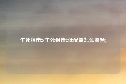 生死狙击2(生死狙击2低配置怎么流畅)
