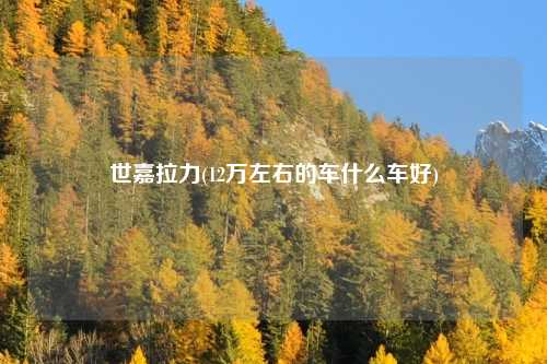 世嘉拉力(12万左右的车什么车好)