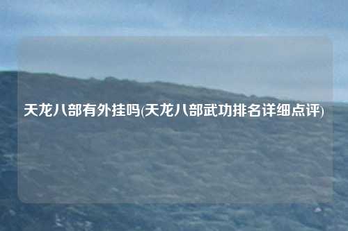 天龙八部有外挂吗(天龙八部武功排名详细点评)