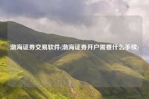 渤海证券交易软件(渤海证券开户需要什么手续)