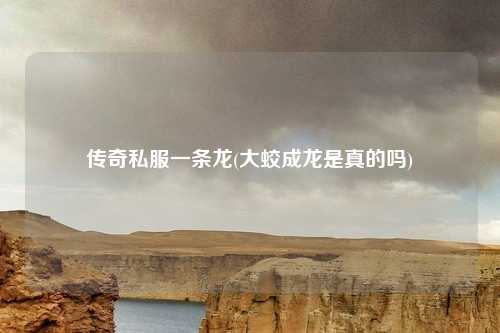 传奇私服一条龙(大蛟成龙是真的吗)