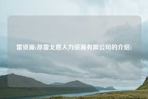雷资源(昂雷戈恩人力资源有限公司的介绍)