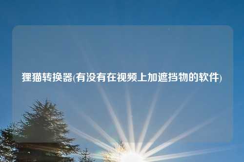 狸猫转换器(有没有在视频上加遮挡物的软件)