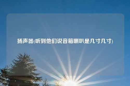 扬声器(听到他们说音箱喇叭是几寸几寸)