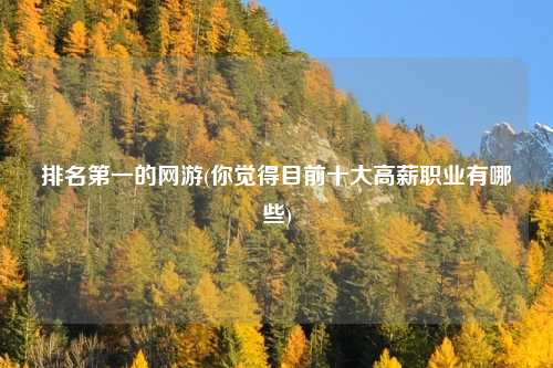 排名第一的网游(你觉得目前十大高薪职业有哪些)