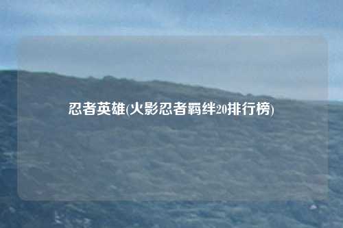 忍者英雄(火影忍者羁绊20排行榜)