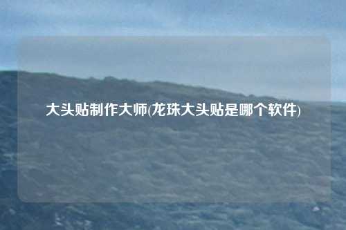 大头贴制作大师(龙珠大头贴是哪个软件)