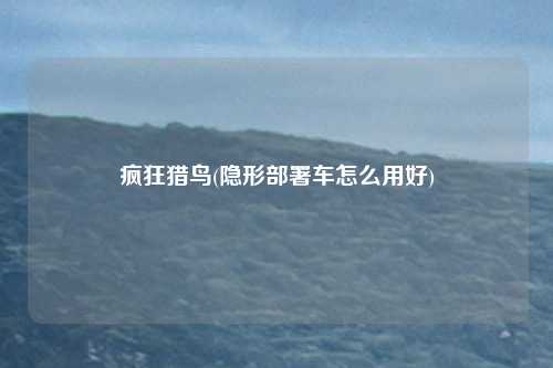 疯狂猎鸟(隐形部署车怎么用好)