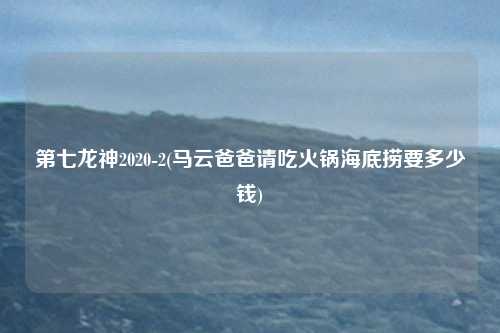 第七龙神2020-2(马云爸爸请吃火锅海底捞要多少钱)