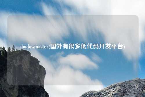 shadowmaster(国外有很多低代码开发平台)