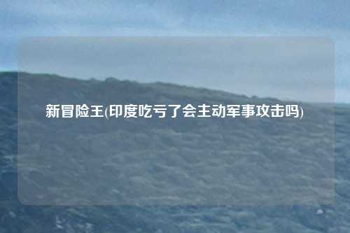 新冒险王(印度吃亏了会主动军事攻击吗)