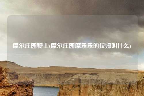摩尔庄园骑士(摩尔庄园摩乐乐的拉姆叫什么)