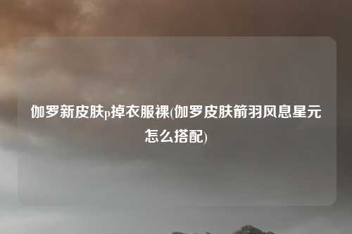 伽罗新皮肤p掉衣服裸(伽罗皮肤箭羽风息星元怎么搭配)