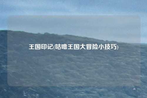王国印记(咕噜王国大冒险小技巧)