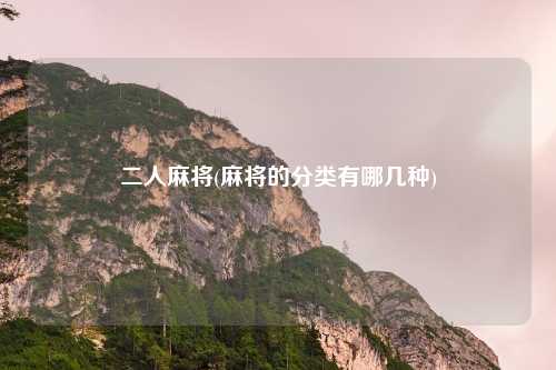 二人麻将(麻将的分类有哪几种)