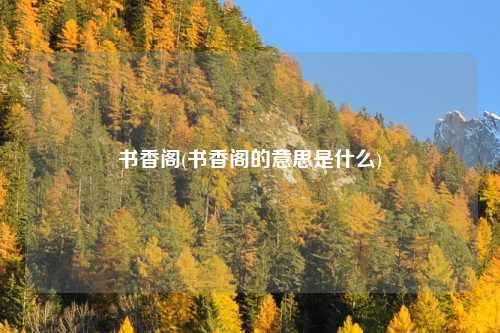 书香阁(书香阁的意思是什么)