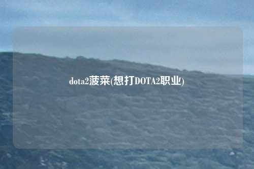 dota2菠菜(想打DOTA2职业)