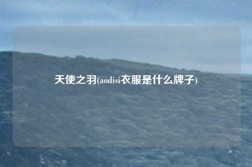 天使之羽(aodisi衣服是什么牌子)