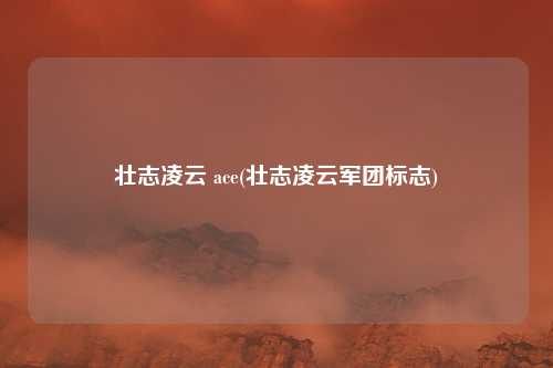 壮志凌云 ace(壮志凌云军团标志)
