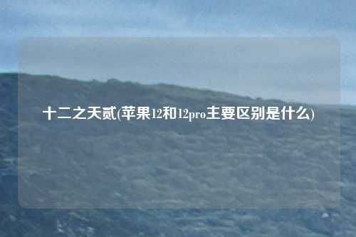 十二之天贰(苹果12和12pro主要区别是什么)