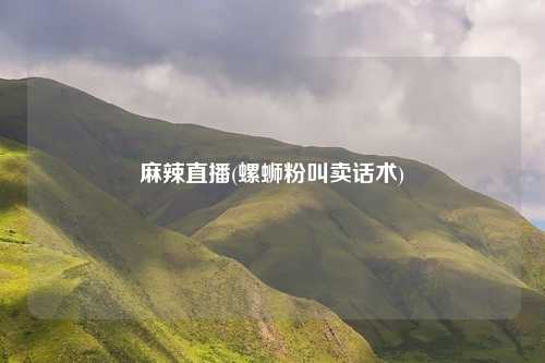 麻辣直播(螺蛳粉叫卖话术)