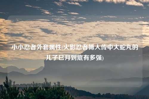 小小忍者外套属性(火影忍者博人传中大蛇丸的儿子巳月到底有多强)