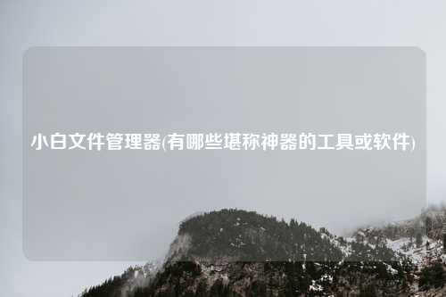 小白文件管理器(有哪些堪称神器的工具或软件)