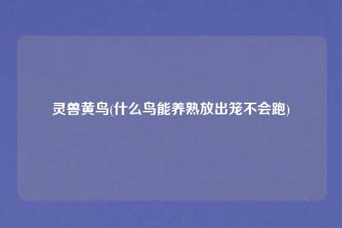 灵兽黄鸟(什么鸟能养熟放出笼不会跑)