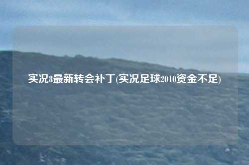 实况8最新转会补丁(实况足球2010资金不足)